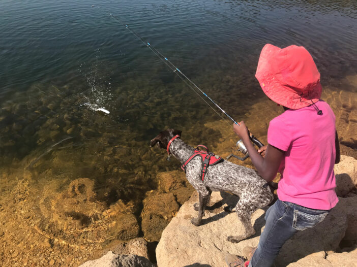 A girl in a pink hat and shirt catch a fish as a dog looks on.