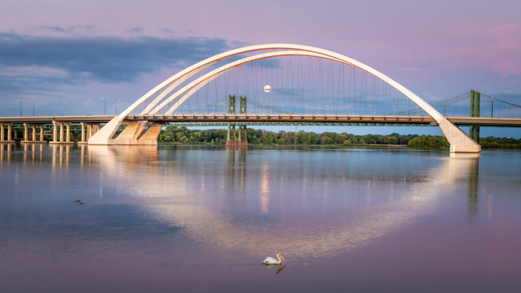 A bridge over the Mississippi River. A pelican is in the foreground.