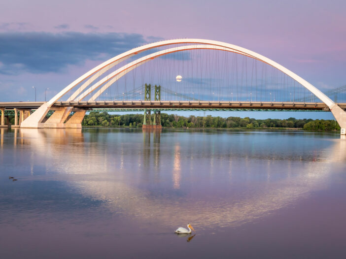 A bridge over the Mississippi River. A pelican is in the foreground.